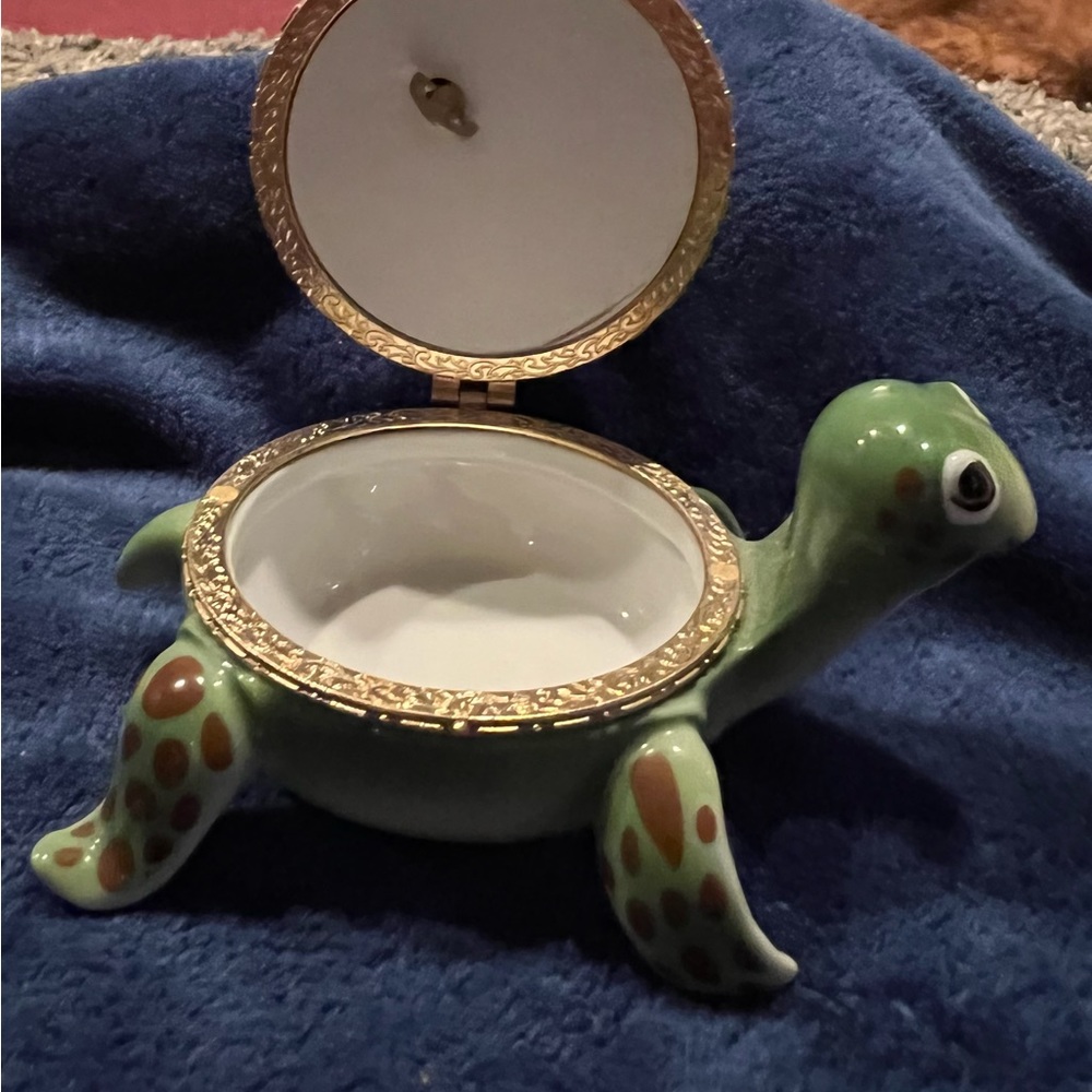 Little charmers turtle music box